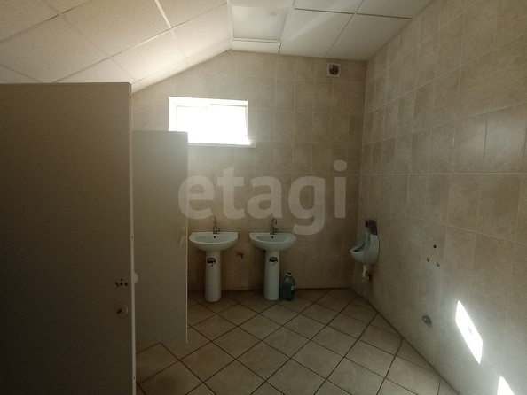 
  Сдается универсальное помещение 250 м². Фото 13.