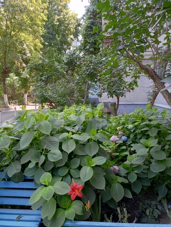 
  Продается 2-комн. квартира 53 м². Фото 19.