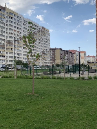 
  Продается 1-комн. квартира 33 м². Фото 9.