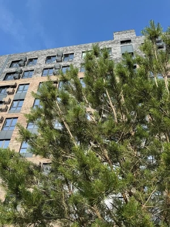 
  Продается 1-комн. квартира 33.7 м², в ЖК Зеленая территория, литера 1.1. Фото 21.