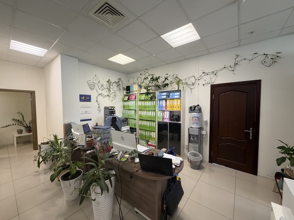 
  Сдается офис 172.3 м². Фото 11.