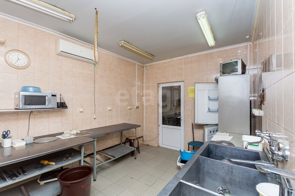 
  Сдается универсальное помещение 428.7 м². Фото 19.