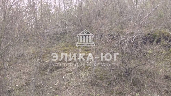 
  Продается земельный участок 10 соток. Фото 12.