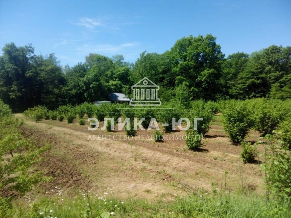 
  Продается земельный участок, 220 соток, село Дефановка
. Фото 2.
