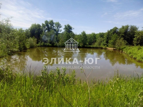 
  Продается земельный участок, 220 соток, село Дефановка
. Фото 17.