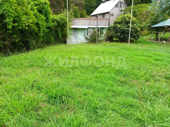 
  Продам  дачный участок Сочи

. Фото 3.