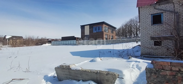 
  Продается земельный участок, 5 соток, территория ДНТ Сигнал
. Фото 3.