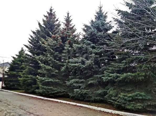 
  Продается дом, 1500 м², Ставрополь
. Фото 1.