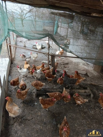 
  Продается дом, 32.9 м², Ессентуки
. Фото 27.