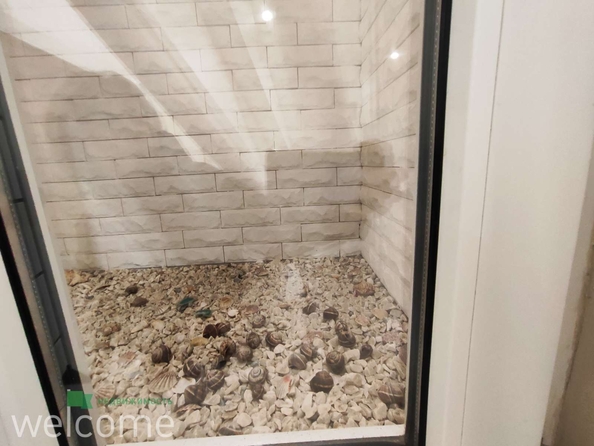 
  Продается готовый бизнес, 39.2 м², Тухачевского ул, д. 27
. Фото 9.