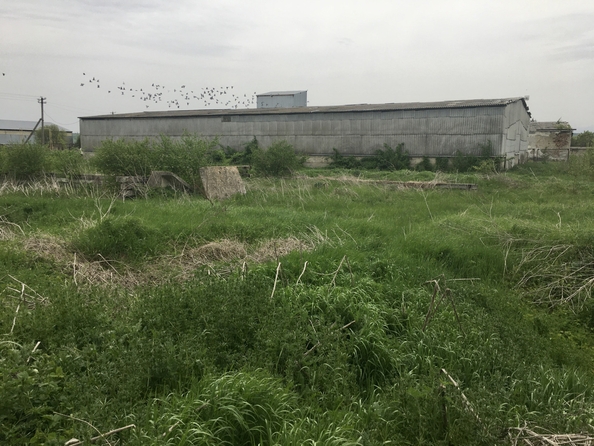 
  Продается склад, 1200 м², Новая ул, д. 35
. Фото 2.