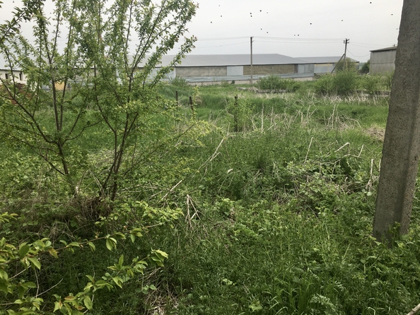 
  Продается склад, 1200 м², Новая ул, д. 35
. Фото 5.