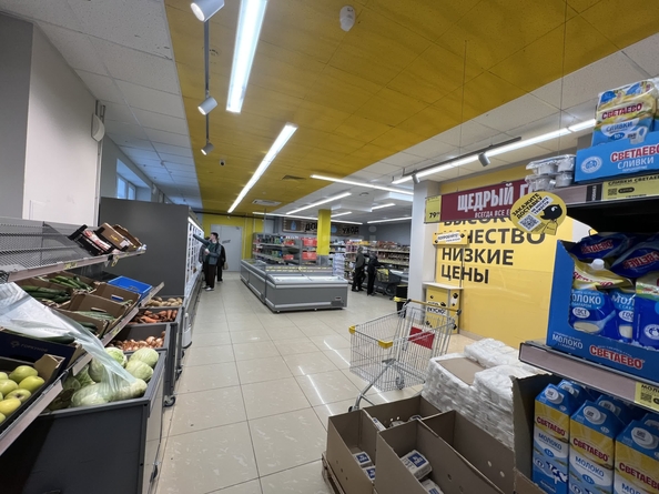 
  Продается торговая площадь 393 м². Фото 13.