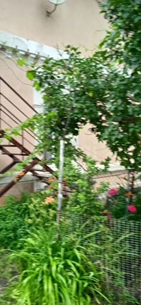 
  Продается 1-комн. квартира 33 м². Фото 22.