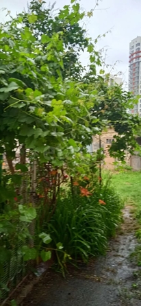 
  Продается 1-комн. квартира 33 м². Фото 23.