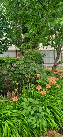 
  Продается 1-комн. квартира 33 м². Фото 24.