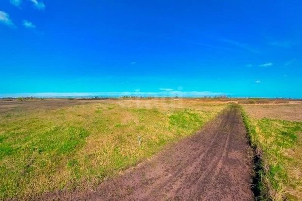 
  Продается земельный участок 6 соток. Фото 5.