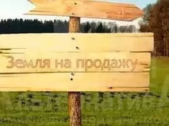 
  Продается земельный участок 6 соток. Фото 3.