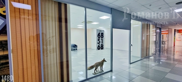 
  Продается торговая площадь 145 м². Фото 12.