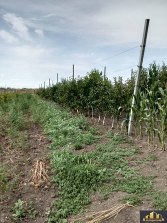 
  Продается дом, 130 м², Ессентуки
. Фото 16.