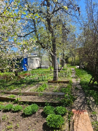
  Продается земельный участок, 10.7 соток, Кисловодск
. Фото 4.