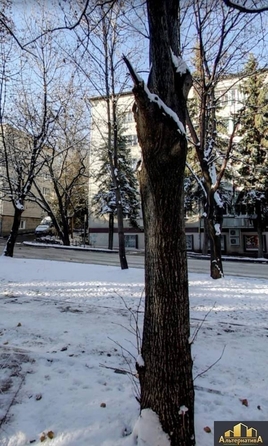 
   Продам помещение, 62.4 м², Тельмана ул

. Фото 18.