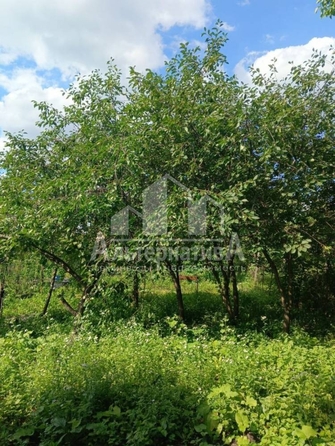 
  Продается дом, 47.5 м², станица Ессентукская
. Фото 17.