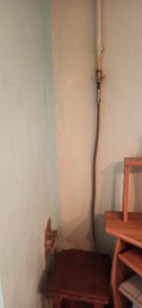 
  Продается 1-комн. квартира 18.1 м². Фото 17.
