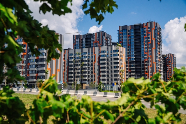 
  Продается студия 23.45 м². Фото 49.