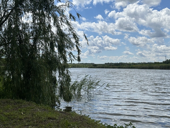 
  Продается земельный участок 19.09 соток, в КП Щепкин. Фото 10.