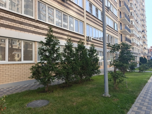 
  Продается студия 24 м². Фото 38.