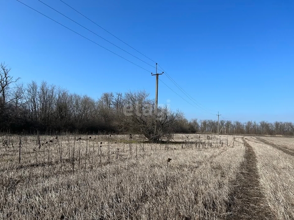 
  Продам  участок ИЖС, 5 соток, Щепкин

. Фото 3.