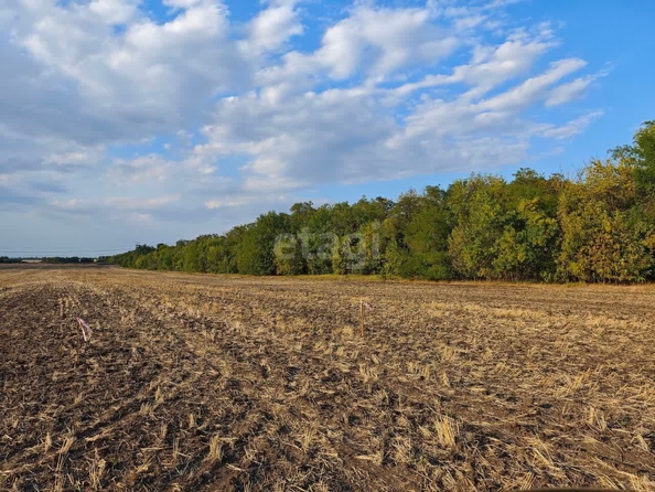 
  Продам  участок ИЖС, 4 соток, Красный

. Фото 1.