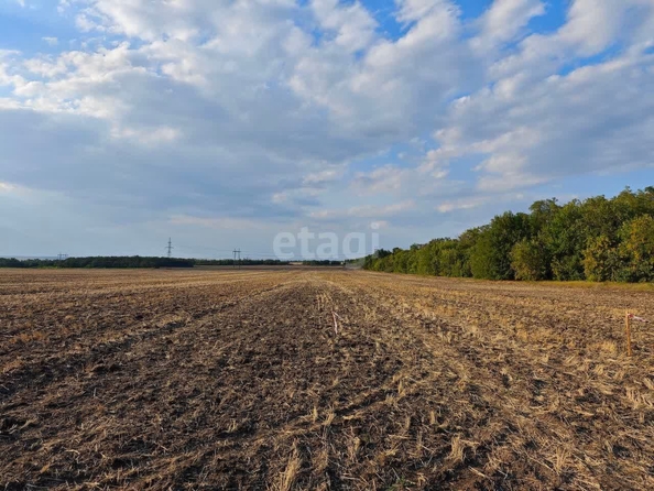 
  Продам  участок ИЖС, 4 соток, Красный

. Фото 9.