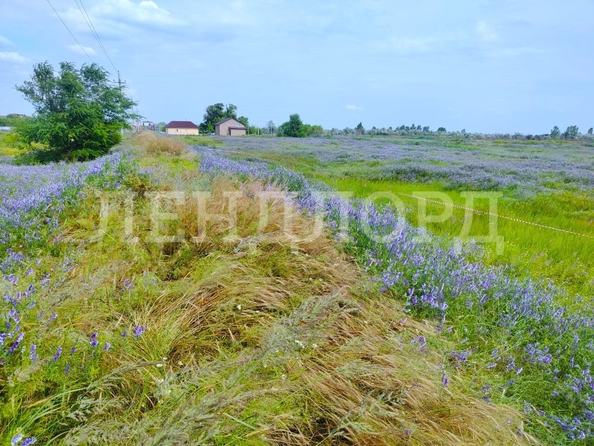 
  Продам  участок ИЖС, 9.1 соток, Обуховка

. Фото 4.