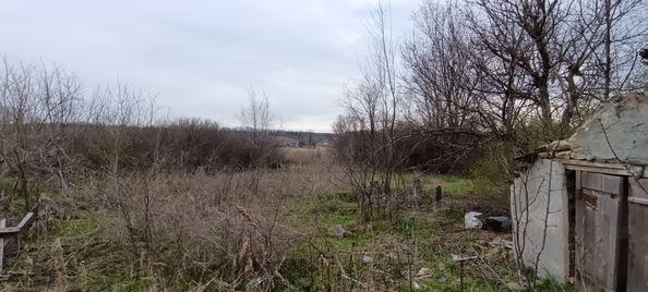 
  Продам  дачный участок, 27 соток, Волошино

. Фото 1.