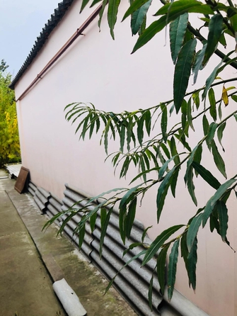 
  Продается дом, 80 м², село Песчанокопское
. Фото 4.