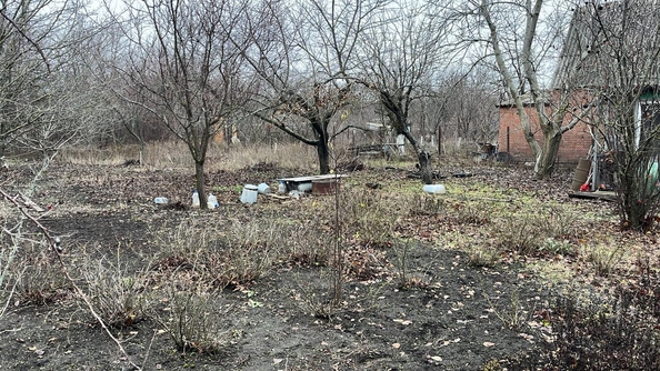 
  Продам  дачный участок, 6 соток, Ковалевка

. Фото 1.