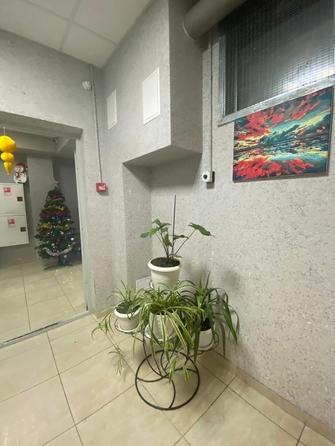 
   Продам 1-комнатную, 36 м², Тибетская ул, 1Б

. Фото 14.