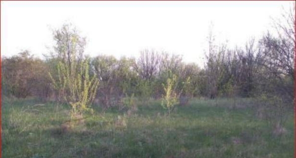 
  Продам  участок ИЖС, 10 соток, Новоалександровка

. Фото 1.