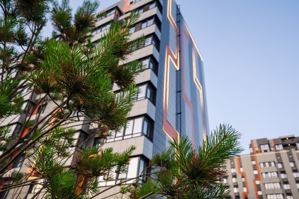 
  Продается 1-комн. квартира 44.13 м², в ЖК Западные Аллеи, литера 5.2. Фото 45.