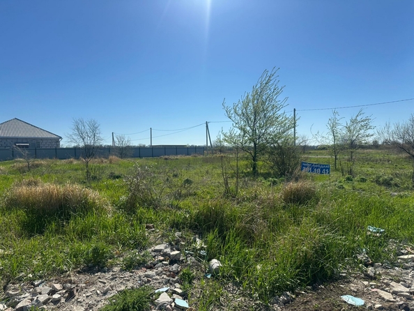 
  Продам  дачный участок, 8 соток, Кулешовка

. Фото 5.