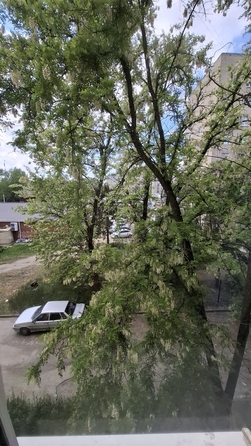
   Продам 1-комнатную, 30.5 м², Днепропетровская ул, 2

. Фото 14.