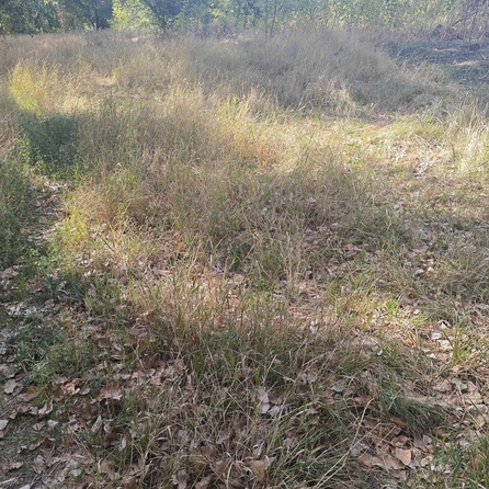 
  Продается земельный участок, 10.62 соток, хутор Усть-Койсуг
. Фото 4.