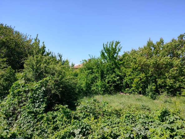 
  Продается земельный участок, 6 соток, Ростов-на-Дону
. Фото 5.