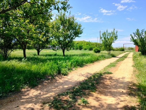 
  Продается земельный участок, 16 соток, село Султан-Салы
. Фото 8.
