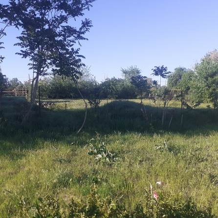 
  Продается земельный участок, 8 соток, хутор Недвиговка
. Фото 7.