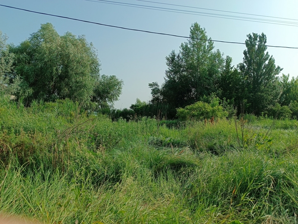 
  Продается земельный участок, 15 соток, хутор Обуховка
. Фото 13.