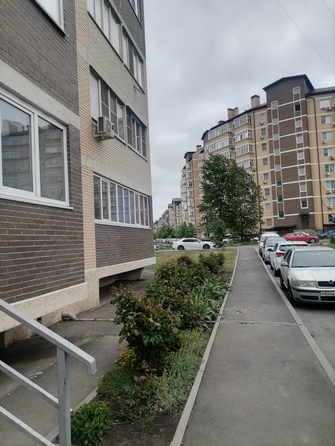 
  Продается студия, 24 м², Батуринская ул, д. 167/16
. Фото 7.