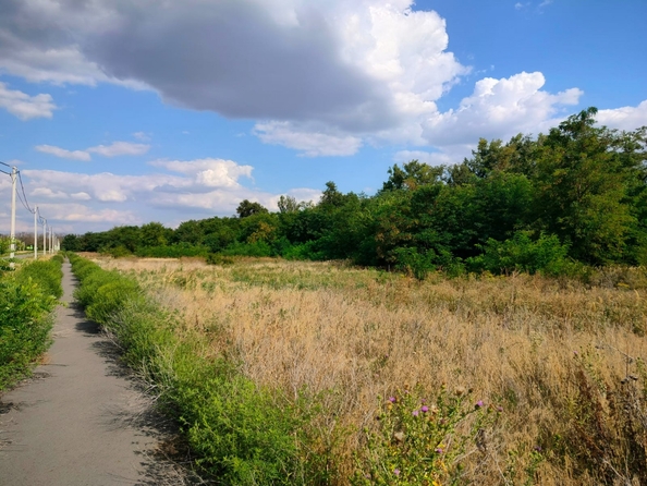 
  Продается земельный участок, 6 соток, поселок Золотой Колос
. Фото 7.